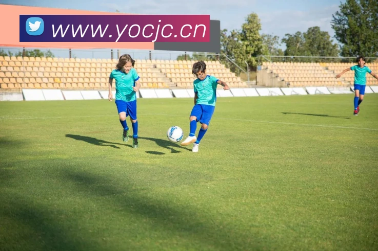 leyu乐鱼中国官方网站入口服务体系